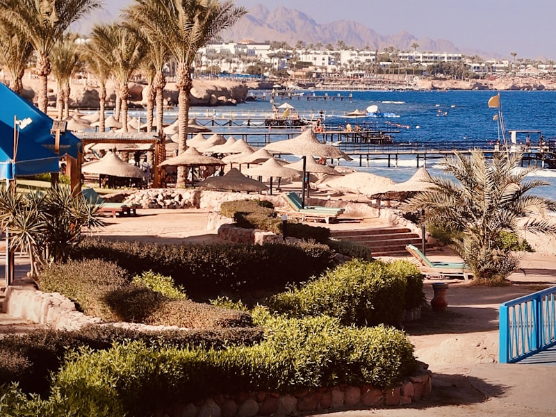 مشروعات البحر الأحمر